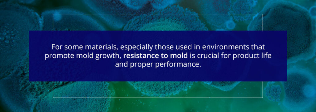 fungi under a microscope